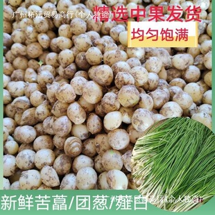 �Ĵ����r��ˊ�F�[С������[�^������ˊ�^ޯ�׮a��ֱ�l�������й�