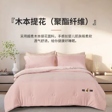 大嘴猴 Paul Frank Bean Velvet Latex Quilt Pink 200×230cm PFFCS230065U