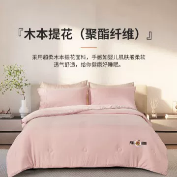 大嘴猴 Paul Frank Bean Velvet Latex Quilt Pink 200×230cm PFFCS230065U