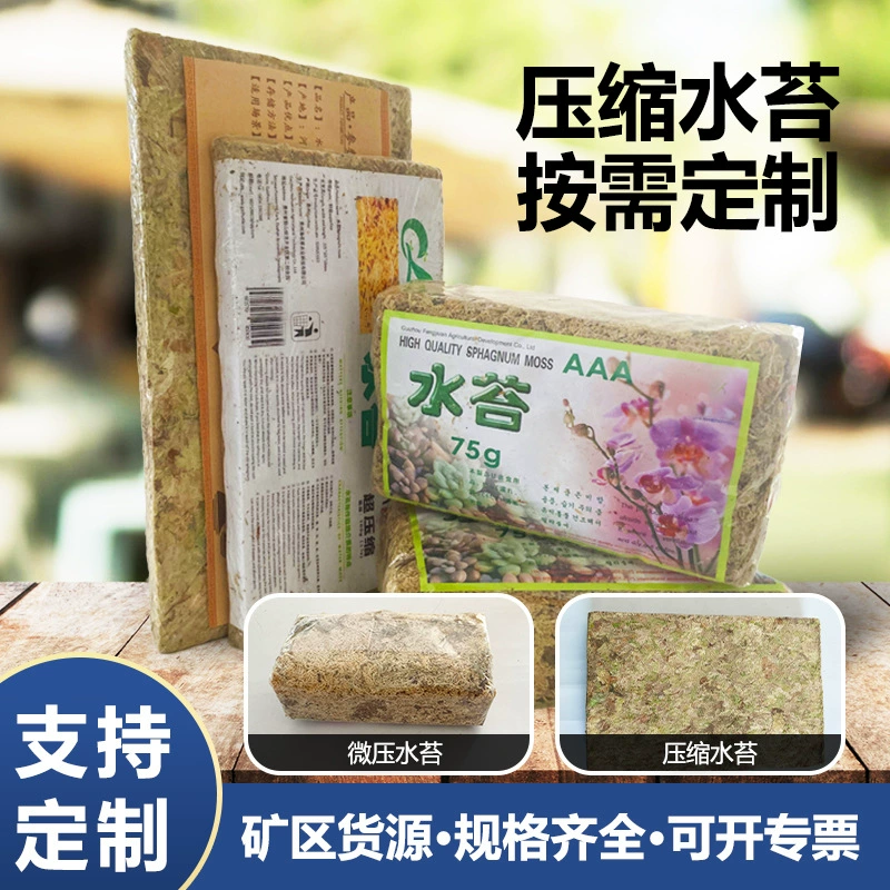 Производитель сфагнового мха долгое время обрабатывает различные спецификации сухого мха и может изготовить на заказ этикетку для культивирования субстрата для орхидей, специальный сфагновый мох.