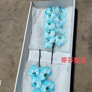�߶�Ⱦɫ�r���R���������m�л������߶˻��곣����؛���_Ʊ�DƱ��