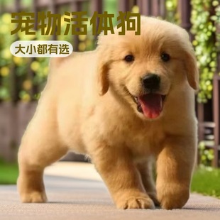 ���N��ë��Ȯ���w��Ǽܽ�ëȮ��äȮ����Ȯ��ͥ�B���ﹷ������w