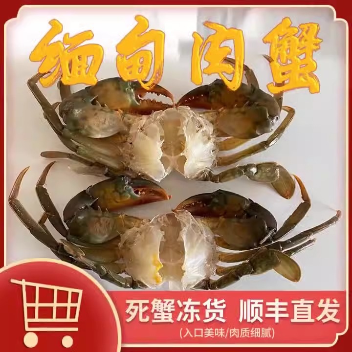 膏蟹缅甸母蟹空运 孟加拉青蟹鲜活 餐饮排档螃蟹冻蟹量大从优