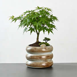 复古粗陶条纹陶瓷花盆厂家批发 红枫盆景蝴蝶兰绿植专用花盆