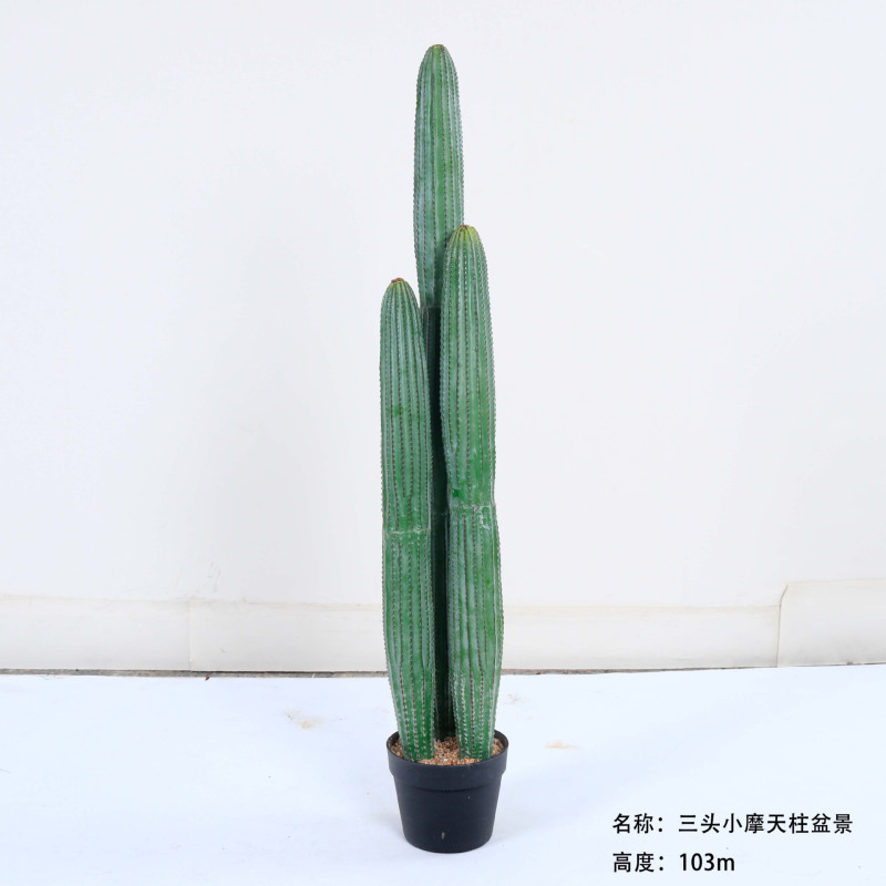 仿真龙神柱仙人掌寄生仙人球摩洛哥沙生植物造景软装样板工程装饰|undefined