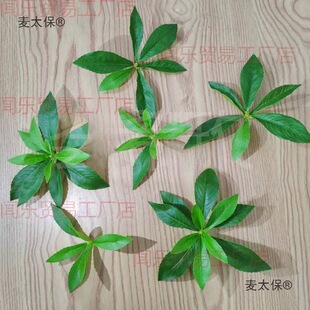 ��Ƭ�����R��ľ�~�ӿݘ�֦DIY�bپG�~ˮ���곬���b�����̫��