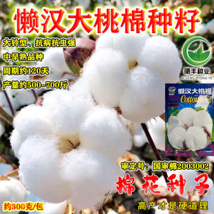 �Нh�����޻��N���ظ߮a��⏿��x�޷N�Ӄ��|���ķN�����Нh��