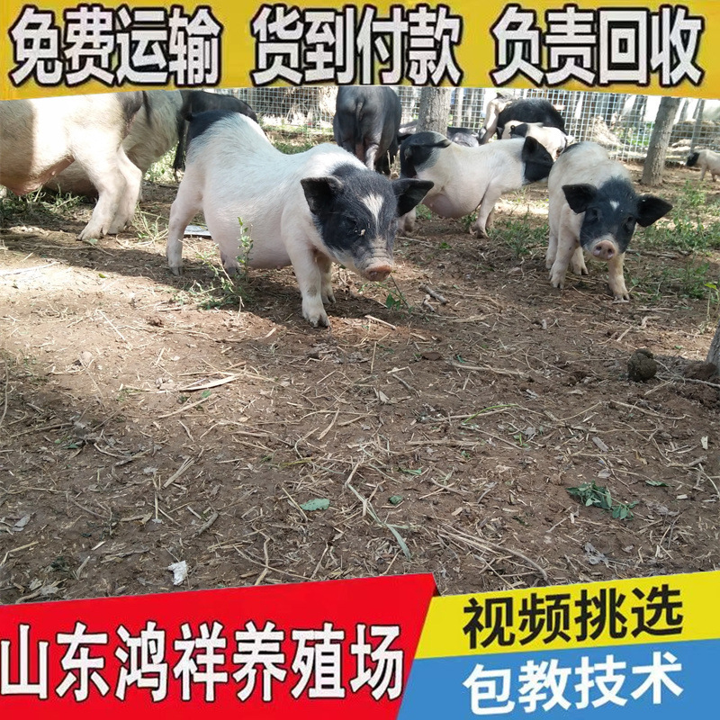 eb30a0fe8d7f46aebce0b2c97304e2