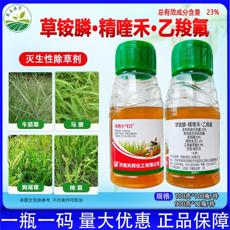 天邦小飞刀草铵膦精喹禾灵乙羧氟草醚草胺磷杂草牛筋草地除草剂