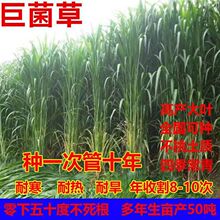 �����ظ߮a�޾��ݷN�Ӷ������ļ����ݷN���Bֳţ���i�~����������