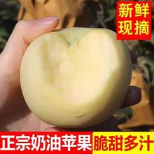 ��̨���͸�ʿ�O�������ı�֭�����S�����͸�ʿ���r�O���S�����l