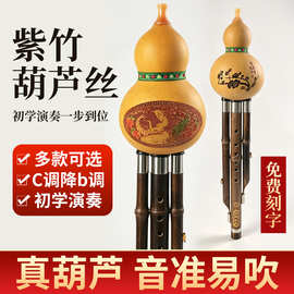 紫竹葫芦丝乐器初学者专业入门葫芦丝C调小学生用成人降B调