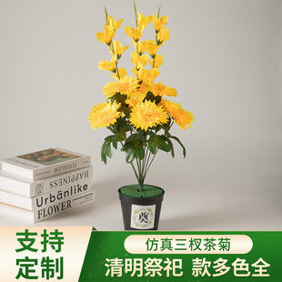 ������������農�ջ����ω����Ͻ������뚛����ƷĹ�ؒ�Ĺ�ٻ���