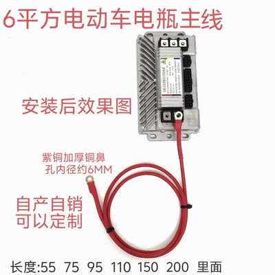 Other Electric Vehicle Accessories: Battery Main Cable for Electric