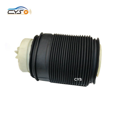 rear left rear right – damping system