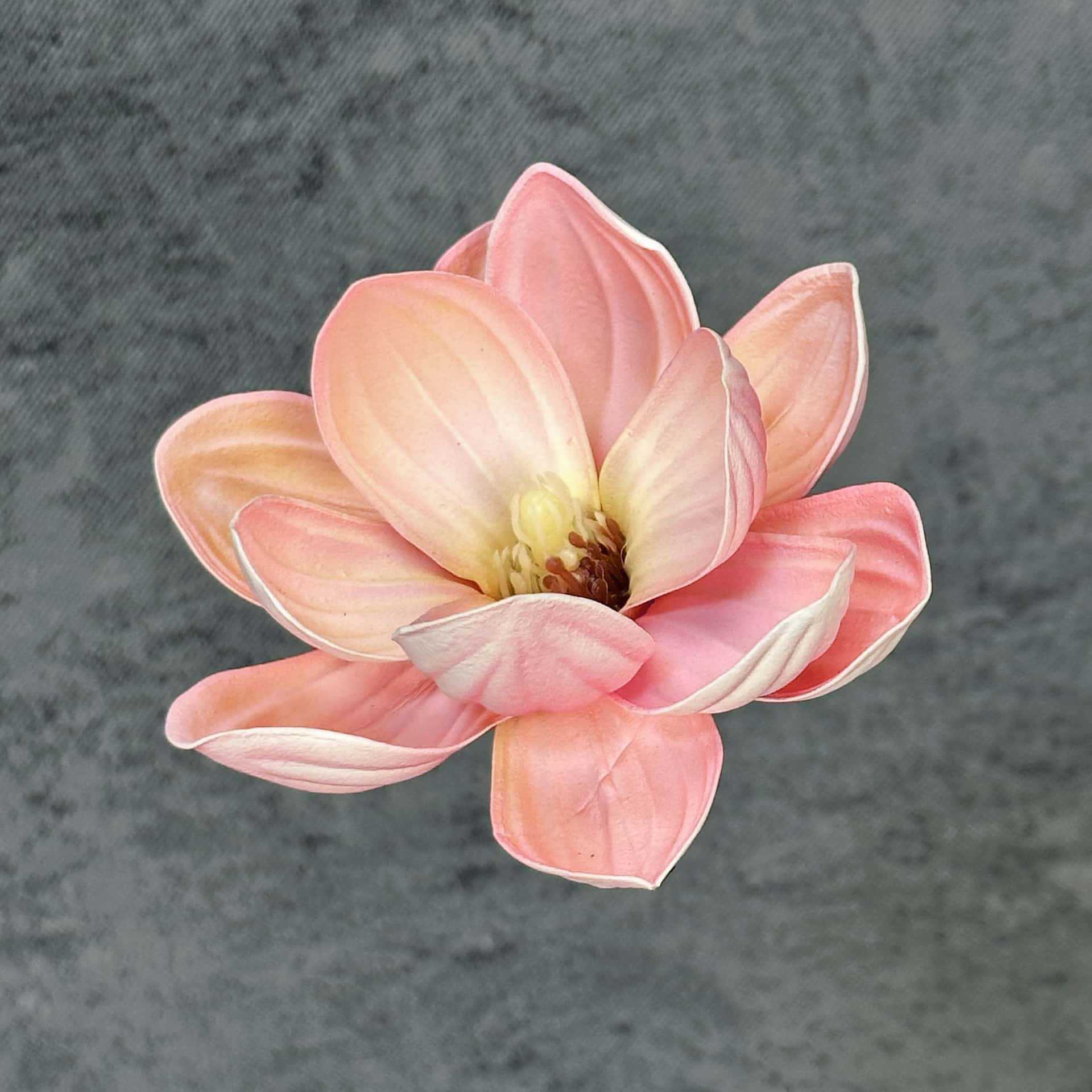 Flor de simulación transfronteriza EVA cabeza de magnolia 13cm tacto tocado kapok decoración decoración decoración flor falsa al por mayor