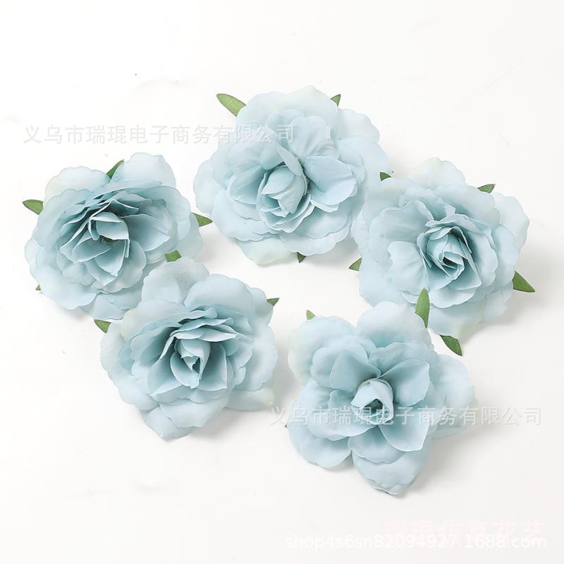 유화 로즈