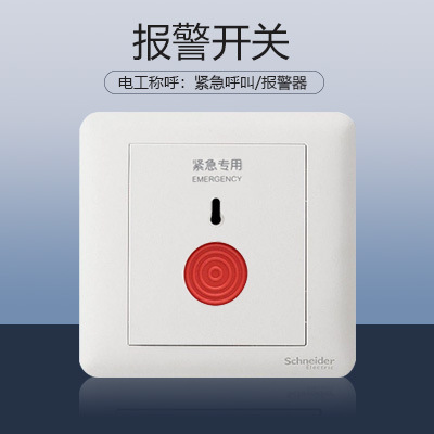 Alarm switch