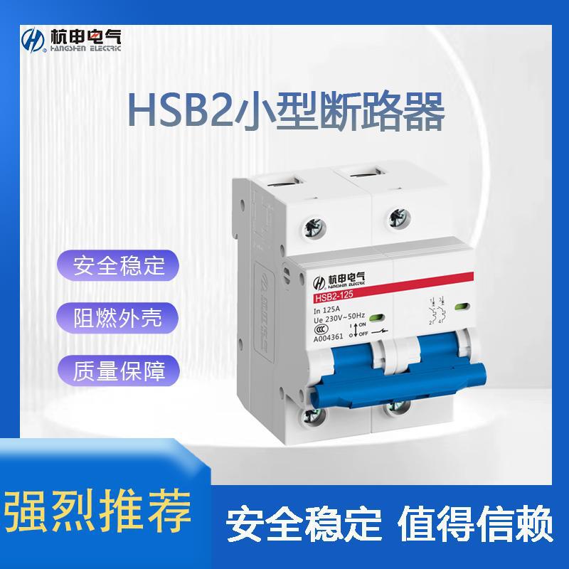 杭州之江HSB2系列小型断路器杭申电器空气开关 全新原装