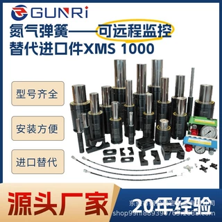 XMS氮气弹簧冲压拉伸弹簧五金模具弹簧定制氮气缸XMS 1000精密