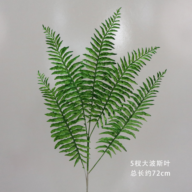 Una gran hoja persa de 5 ramas verdes