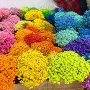巴西迷你树脂小星花蜡烛