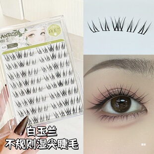 ���ᵭ�ϵ�����m�ٽ�ë���z��ж��ճ�۽�ë����2025���¿�