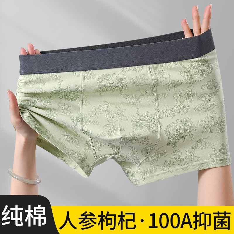 New Printed Trendy Men's Underwear Pure Cotton Breathable and Comfortable Boxer Briefs for Boys Mid-Waist Large Size Boxer Briefs