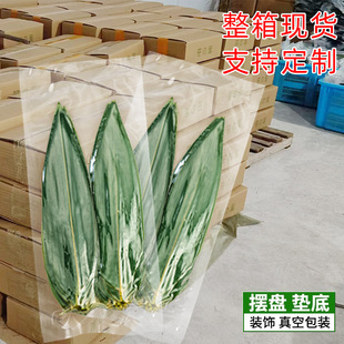 [Whole Case] Plate Small Zongye Japanese Sushi Cuisine Barbecue Hot Pot Sashimi Decorate Three Leaves Indocamalamus Leaves