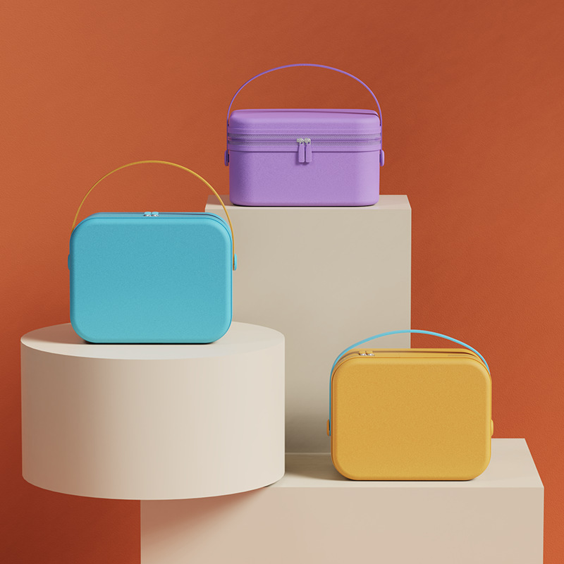 Internet Celebrity Dopamine Portable Suitcase Cosmetic Case Student Suitcase Small Pattern Printing One Piece Drop Shipping