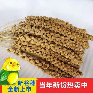 ������Ȼ�����S����С�����W�^С�B��߂}��\�쾰�bzӰ������