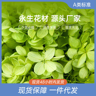 ������ľ�����Ƚ��򻨰���~����DIY������޹���λ����ϰ����l