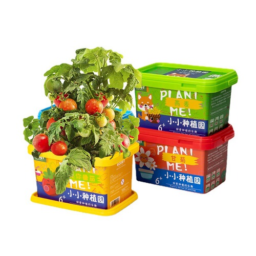 Ecoey children grow small potted green plants observation toys diy flowers indoor mint mosquito repellent flytrap