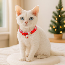 �F؛���b�}�Q���Ռ����Ȧ�Ʒ����؈��ɐ��}�Q��Y������Ȧ