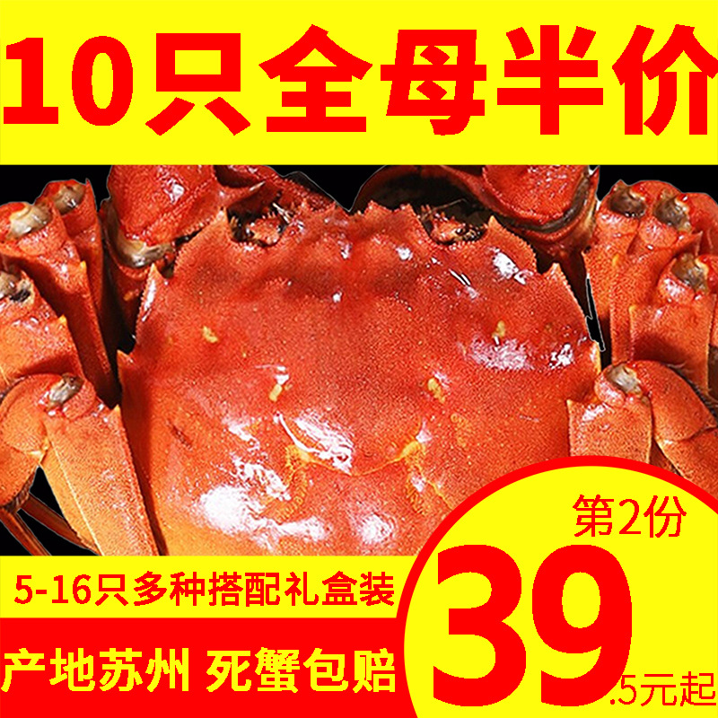 全母苏州螃蟹鲜活大闸蟹礼盒装全母蟹新鲜河蟹16-6只可公母湖蟹