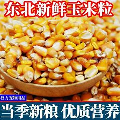 24年新東北大粒トウモロコシ 5kg 鶏・アヒル・ハト用飼料、釣り・ワイン醸造用新穀物、乾燥トウモロコシ粒、ハト用飼料