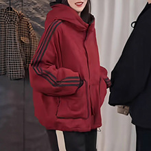 2025�����¿�W�nŮʿ�޷������OӋ�Зl�y�p��ɴ��ٴůС����