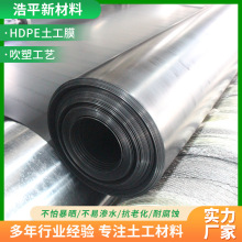 土工膜鱼塘护坡沼气池防渗土工膜高密度水产养殖聚乙烯hdpe土工膜