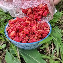 �ؑc������ឹ����C���D���a�~���~���~Ұ����״�C����Ư��តS