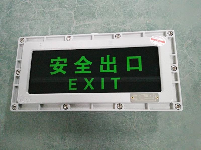 A型集中电源集中控制型防爆应急疏散指示灯 集电集控型消防应急灯