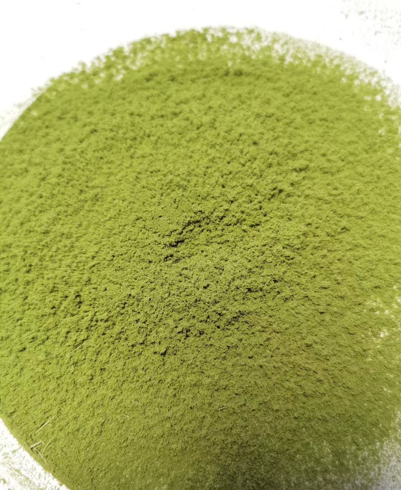 Pine Needle Powder Song Zhen Fen 500g Fine Ground Masson Pine Herbal Tea Sugar Free in use