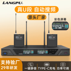 1対2ワイヤレスラベリアマイク、クロスボーダーUHF、ポケット型、携帯用、音声拡声、教師指導、トレーニング、解説用