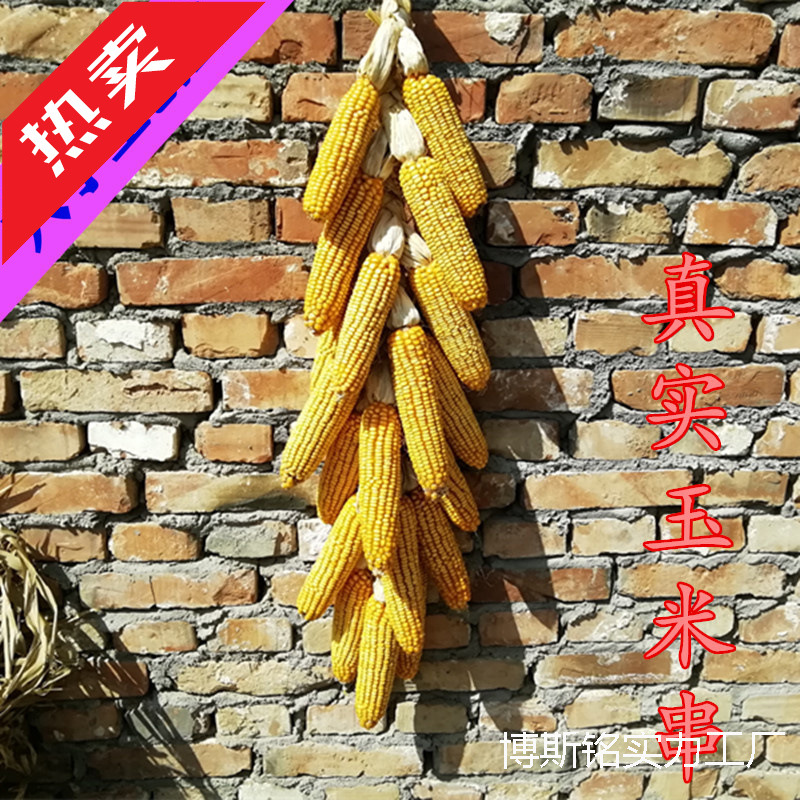 五谷丰登挂饰农家乐干玉米棒子农作物装饰玉米穗带皮真玉米串挂件
