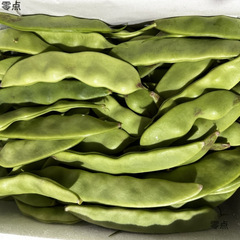 東北本場の少し赤い赤油豆、新鮮な野菜、9月に農場で栽培、鍋から出荷まで送料無料
