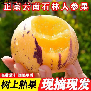 ���ʯ���˅������rˮ���������S��A�������Fժ�F�l������]