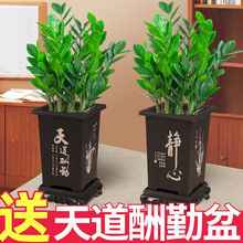 ���X�������҃�ֲ���k�����ļ�����͏d�[������Gֲ