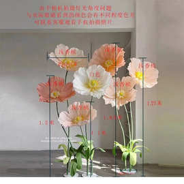 巨型纸花花艺虞美人花香槟色网红花背景网红打卡布置纸花