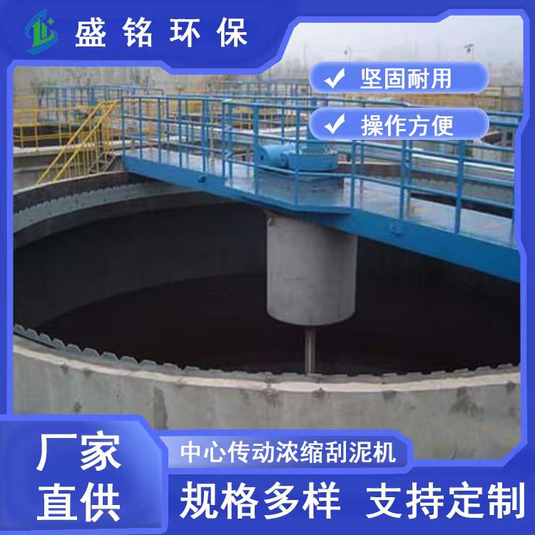 污水厂初沉泥排泥设备周边传动刮吸泥机悬挂垂架式周边高效刮泥机