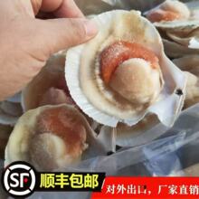冻货冷冻品黄金贝蓝口贝生蚝扇贝花蛤肉批发零售