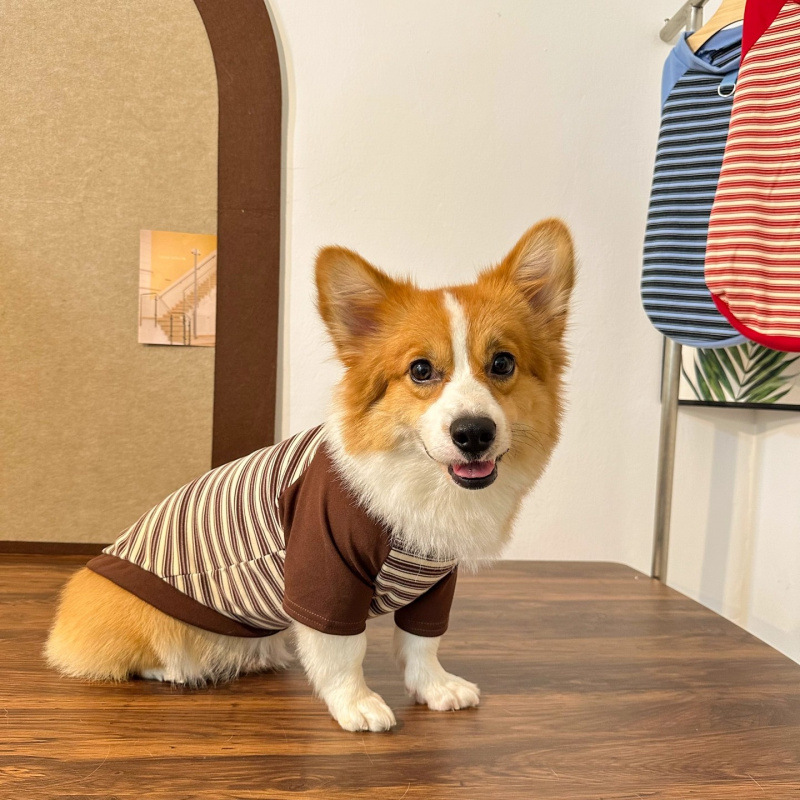 Perro de mascota primavera y otoño ropa Corgi perro calentamiento ocio tracción rayas camisetas de cuello redondo